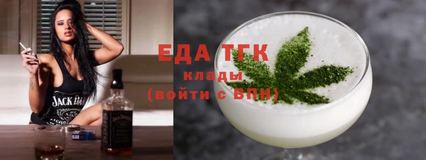 эйфоретик Няндома