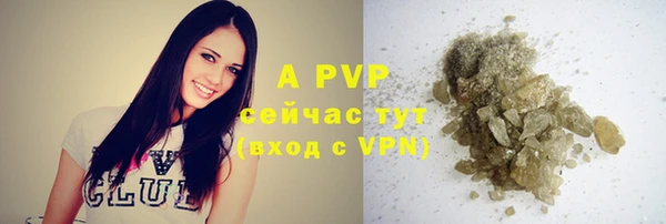 гашик Новокубанск