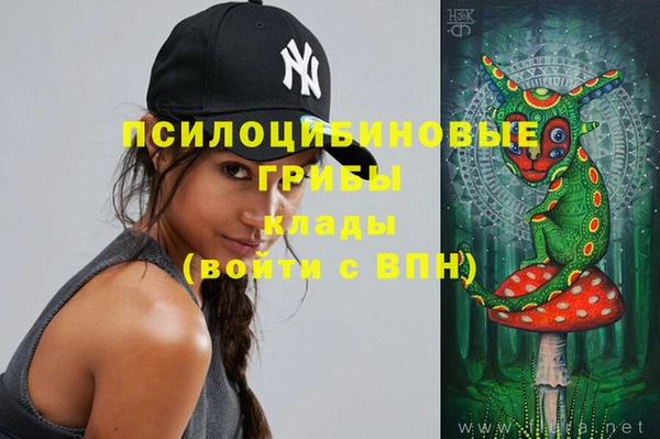 эйфоретик Няндома