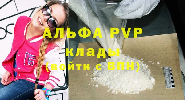 эйфоретик Няндома