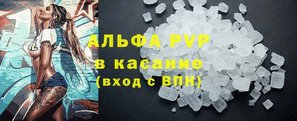 гашик Новокубанск
