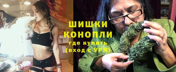 дурь Новодвинск