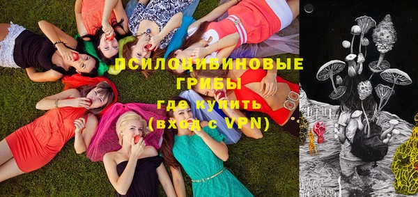 твердый Нягань