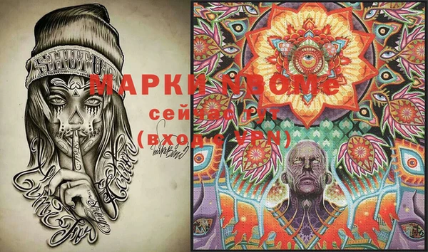 эйфоретик Няндома