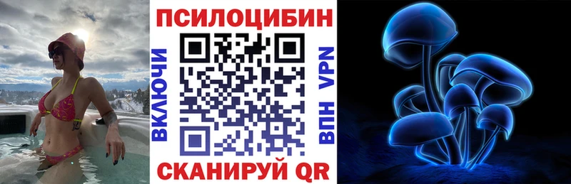 Псилоцибиновые грибы мицелий  Киреевск 