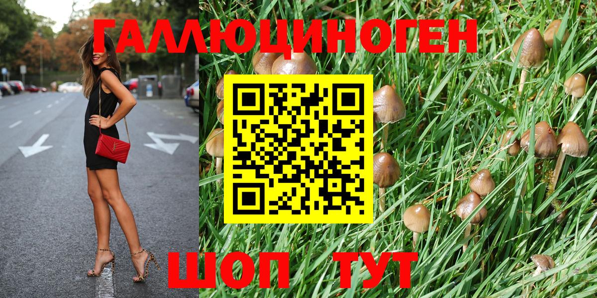 Псилоцибиновые грибы ЛСД  Галлюциногенные грибы Cubensis  Киреевск 
