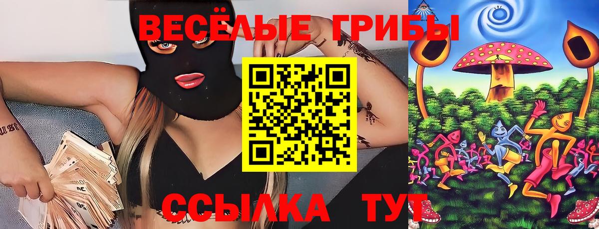 купить   Псилоцибиновые грибы мицелий  Вход с VPN  Киреевск  Галлюциногенные грибы GOLDEN TEACHER 