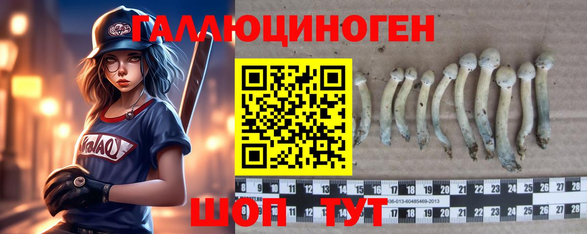 Галлюциногенные грибы MAGIC MUSHROOMS Киреевск